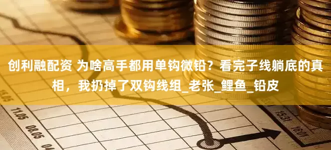 创利融配资 为啥高手都用单钩微铅？看完子线躺底的真相，我扔掉了双钩线组_老张_鲤鱼_铅皮