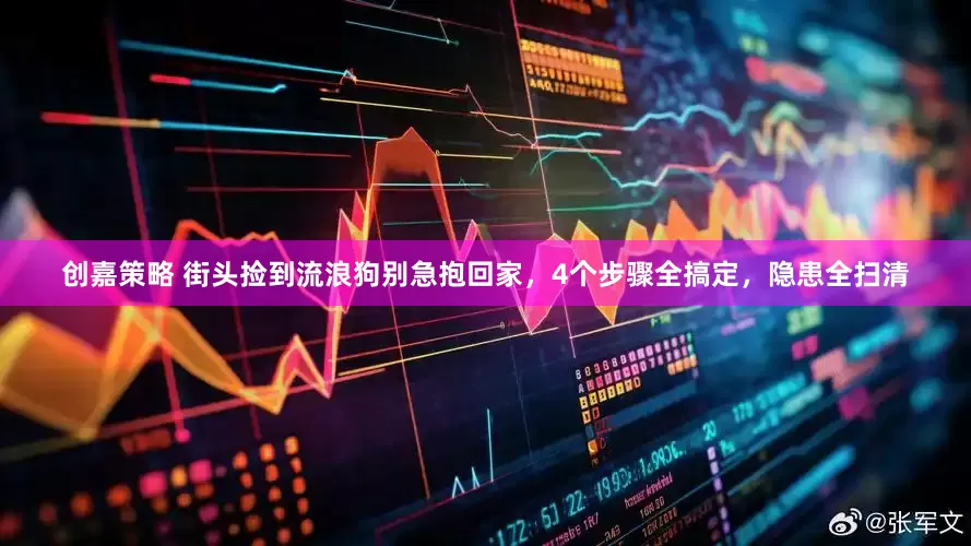 创嘉策略 街头捡到流浪狗别急抱回家，4个步骤全搞定，隐患全扫清